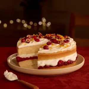 Shortcake aux canneberges