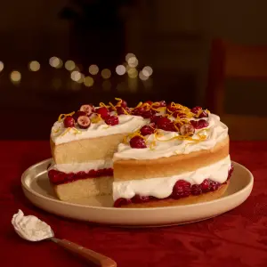 Shortcake aux canneberges