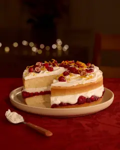 Shortcake aux canneberges